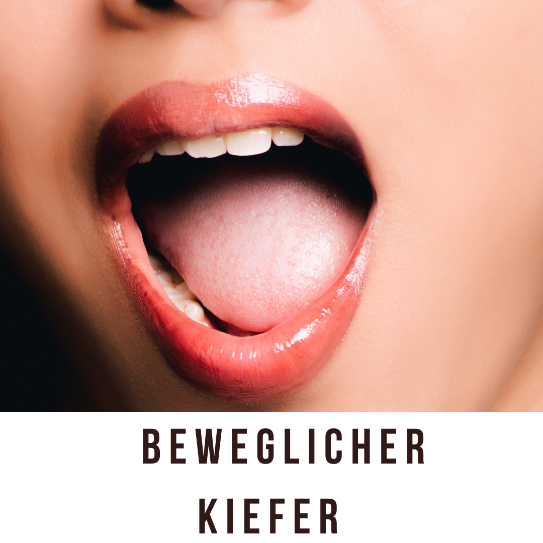 beweglicher-Kiefer-Custom-Products