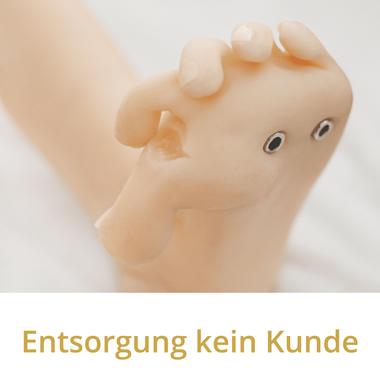 Entsorgungsservice Liebespuppe - kein Kunde | Entsorgung | Zubehr |